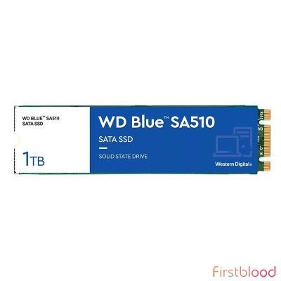 西部数据蓝盘 SA510 1TB M.2 SATA SSD固态硬盘WDS100T3B0B
