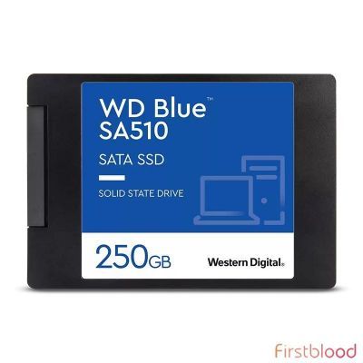 西部数据蓝盘 SA510 250GB 2.5寸SATA SSD固态硬盘WDS250G3B0A