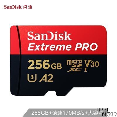 闪迪 256GB TF（MicroSD）存储卡 U3 C10 V30 A2 4K 至尊超极速移动版内存卡 读速170MB/s